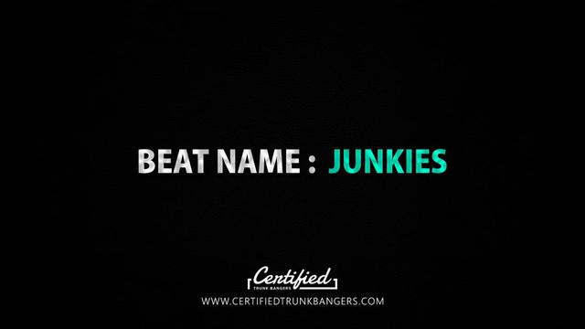 Cover of JUNKIES