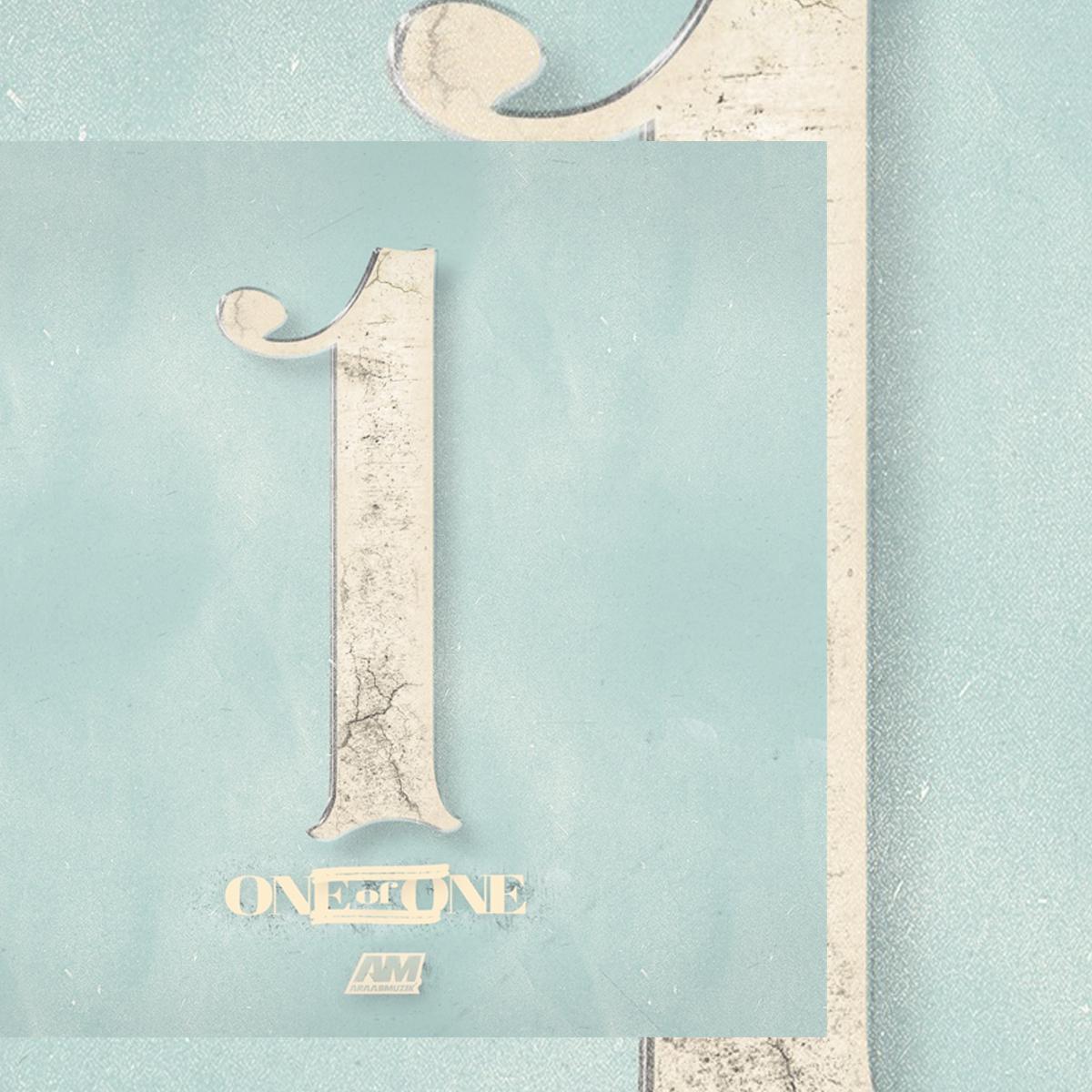 Cover of One of One