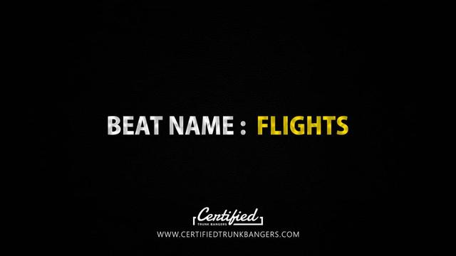 Cover of FLIGHTS