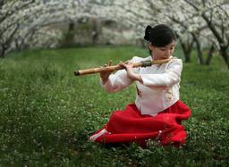 Cover of Flute Therapy