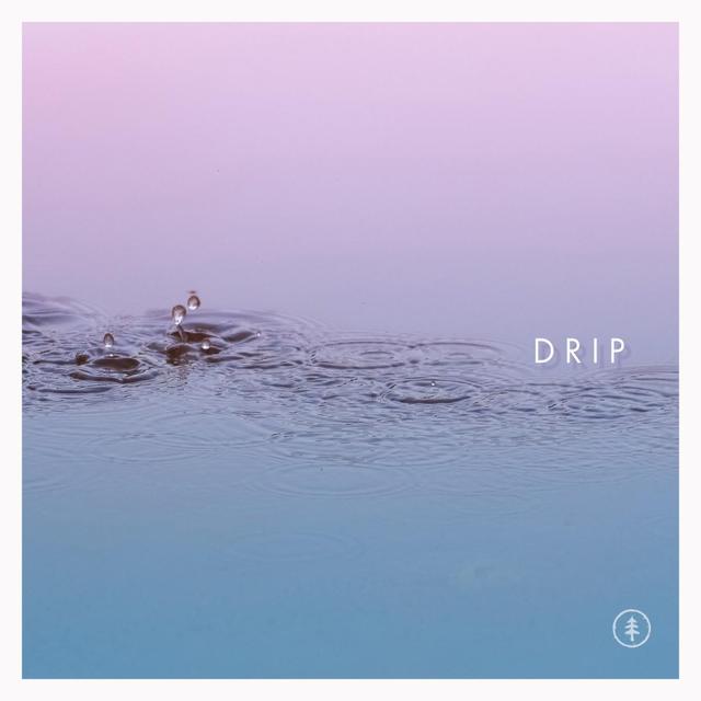 Cover of DRIP