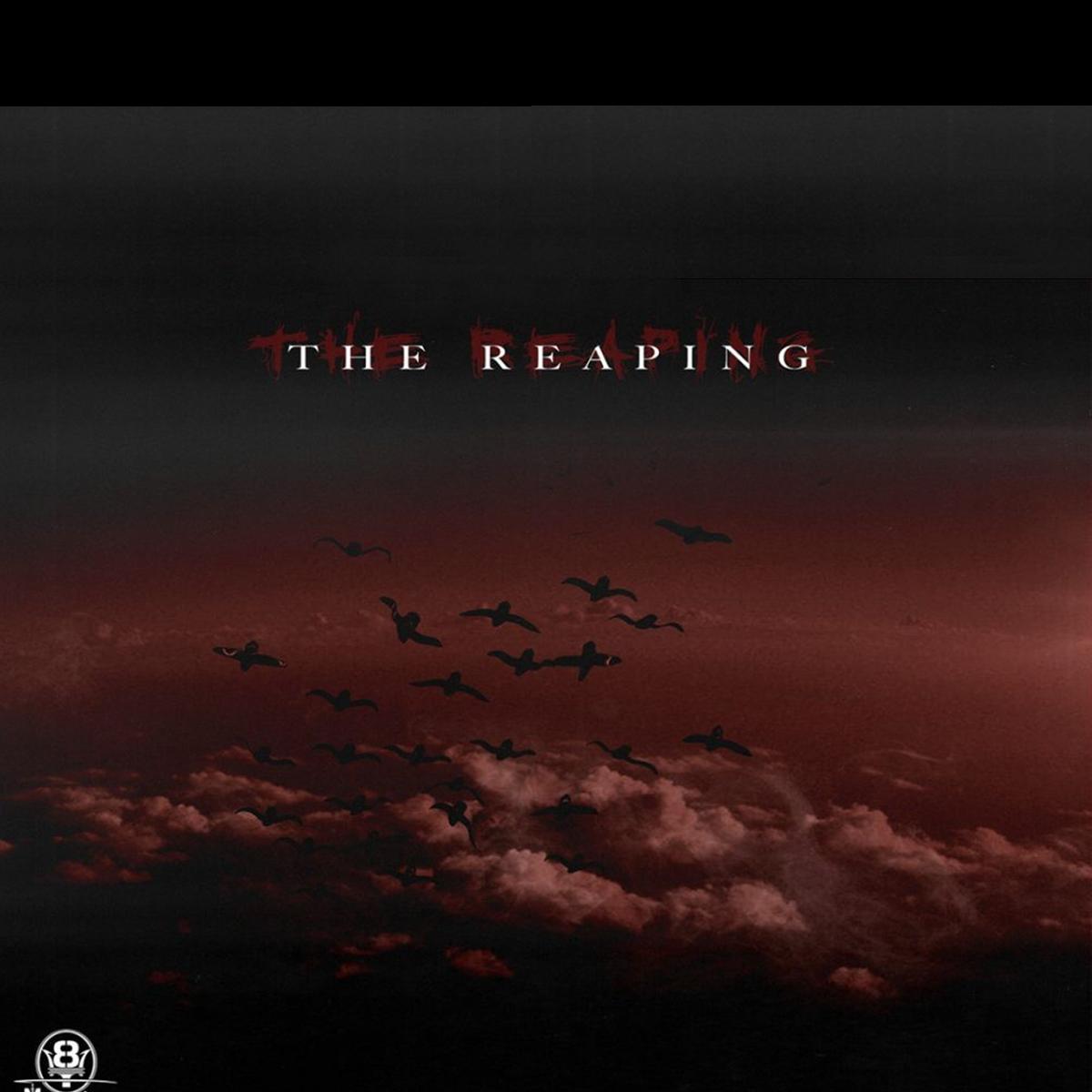 Cover of The Reaping Omnisphere Bank